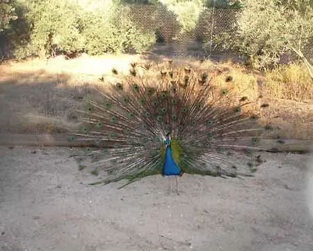 La Loma Del Carrascal Hornos