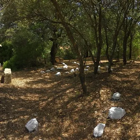 La Loma Del Carrascal