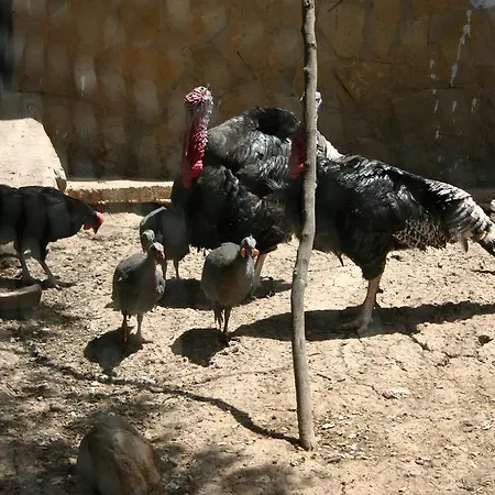 La Loma Del Carrascal Hornos