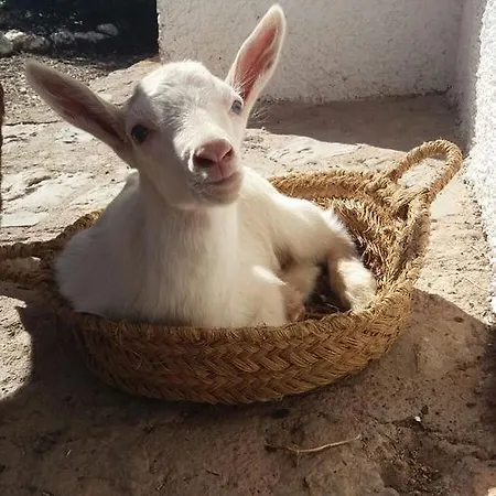 La Loma Del Carrascal Hornos