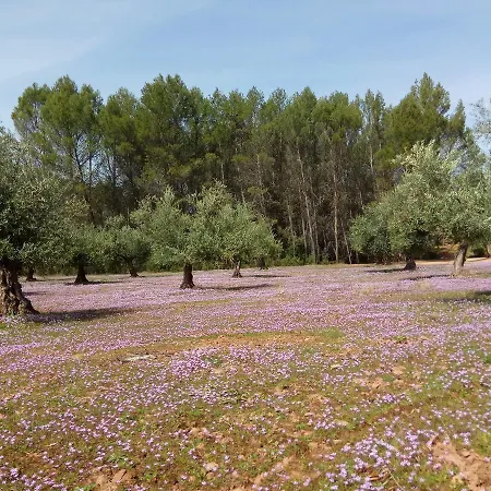 La Loma Del Carrascal *