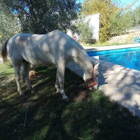 La Loma Del Carrascal